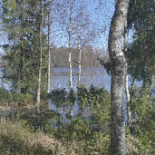 Lacs printemps finlande foret
